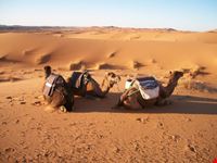 Deserto del Sahara