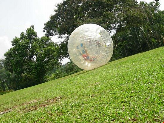 Zorbing - Zorbing - ©Steven Kiyoda - ©Steven Kiyoda - CC BY-NC-ND 2.0