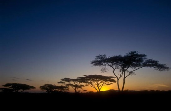 Kenya