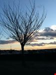 Tramonto sulla collina di Buda