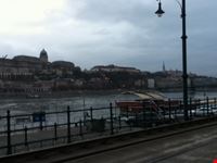 Danubio