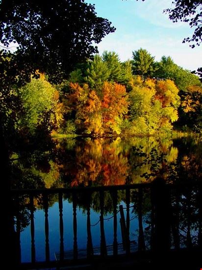  bellissimo lago  