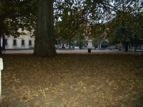 GIARDINO PUBBLICO