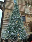 NATALE
