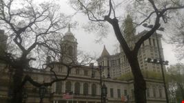 city hall new york