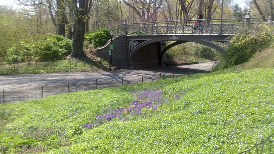 Central Park