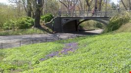 central park new york