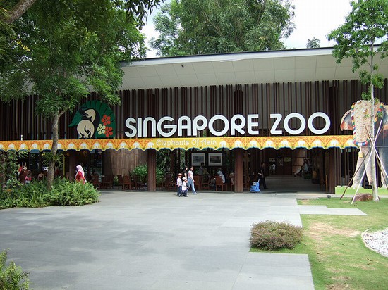 Zoo