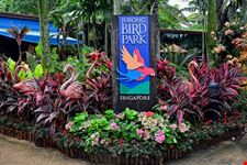 Jurong Bird Park