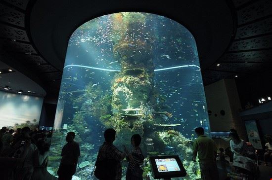 L'Acquario - L'Acquario - ©eefeewahfah - ©eefeewahfah - CC BY-SA 2.0