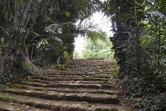 Giardini Botanici Nazionali