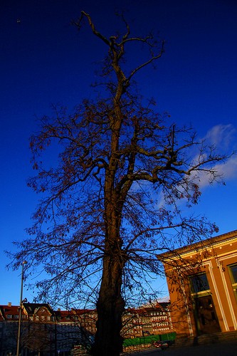 copenaghen 