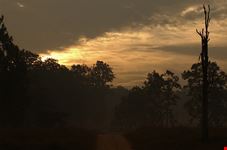 Kanha National Park