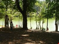 Foresta Umbra