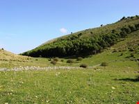 Bosco di Scardina, Riserva Naturale dello Zingaro