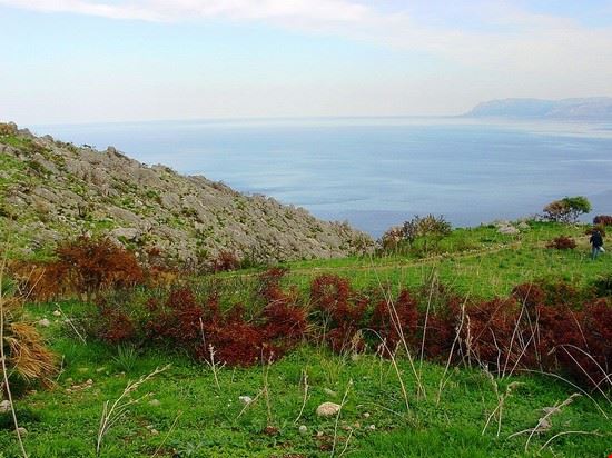  San Vito Lo Capo tato grasso - (CC BY-SA 2.5) tato grasso