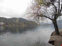 Lago di Bled
