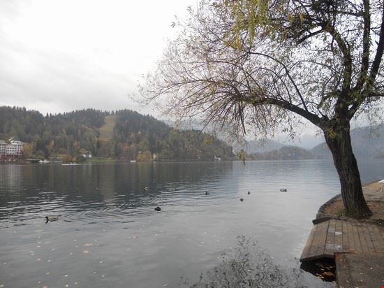 Lago di Bled  Bled  