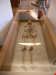 Museo del Castello di Bled