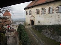 Interno castello di Bled - Palazzo dove si produce ancora vino