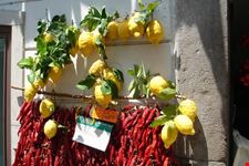 Limoni e peperoncini ad Amalfi