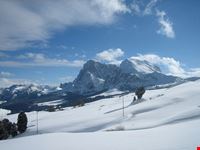 Alpe di Siusi