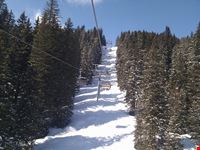 Piste da sci