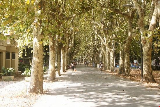  Viareggio ©Old Fogey 1942 - CC BY-SA 2.0 ©Old Fogey 1942