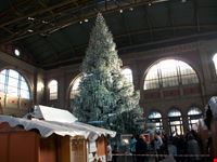 Natale a Zurigo.