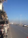 boujaafer tunis