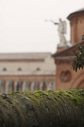 ferrara palazzo massari