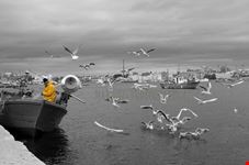 Taranto una vita per il mare