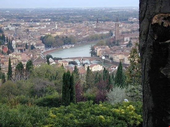  Verona  