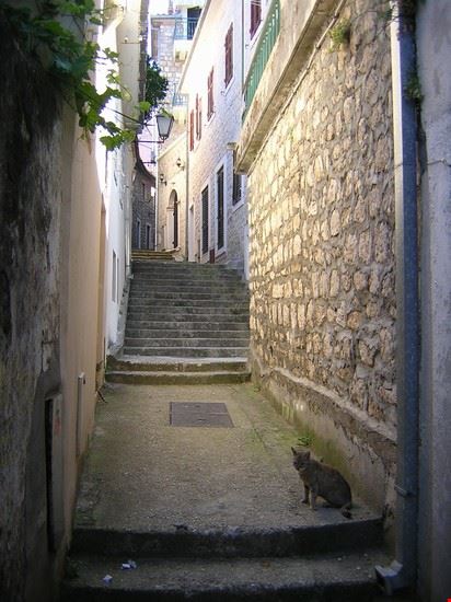  Herceg-Novi  