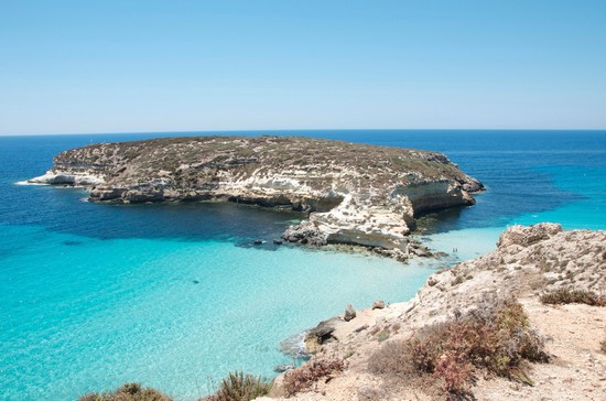 Isola conigli