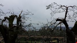 Vittoriale