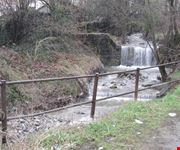 Canale