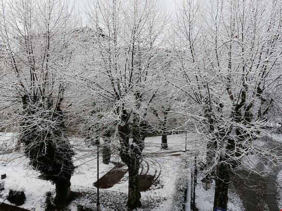 Foglizzo