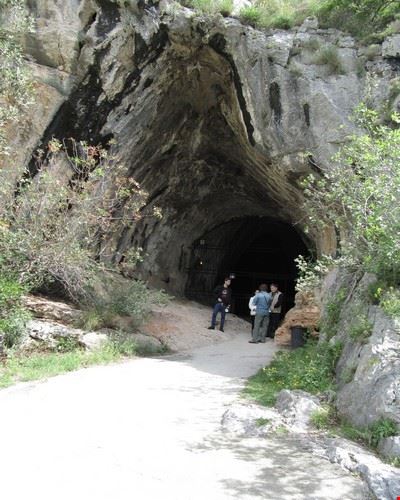  Toirano si trova in Liguria in provincia di Savona .  