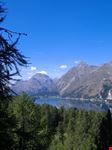 Lago di Sils Maria