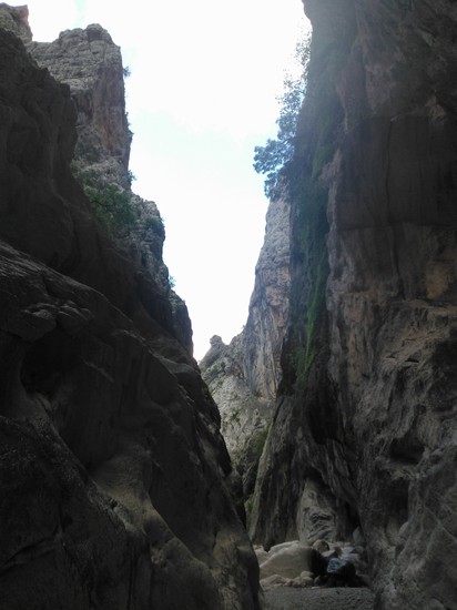 Canyon_003