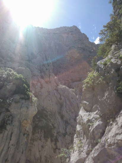 Canyon_044