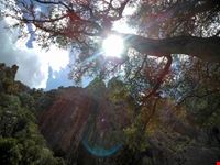 Su Gorroppu's Landscapes