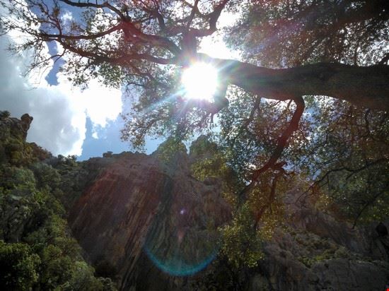 Su Gorroppu Dorgali  