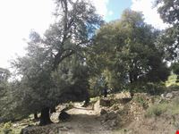 Su Gorroppu's Landscapes
