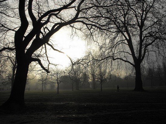 Hyde Park all'alba