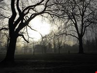 Hyde Park all'alba