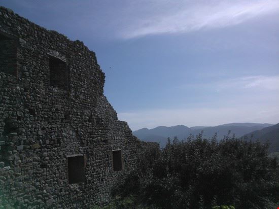  Siliqua  