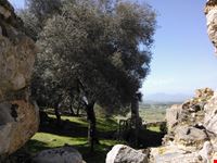 Castello di Acquafredda