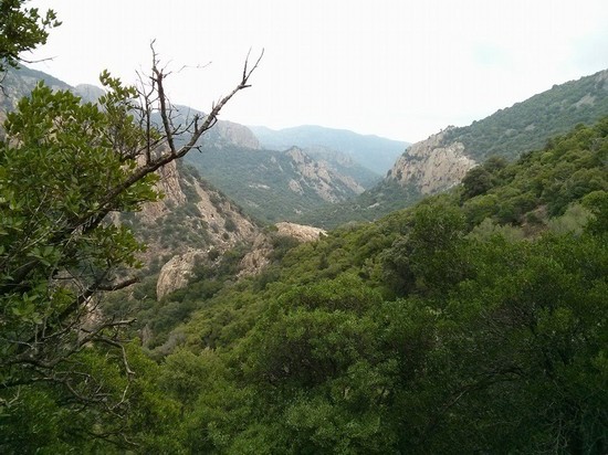 Monte Arcosu